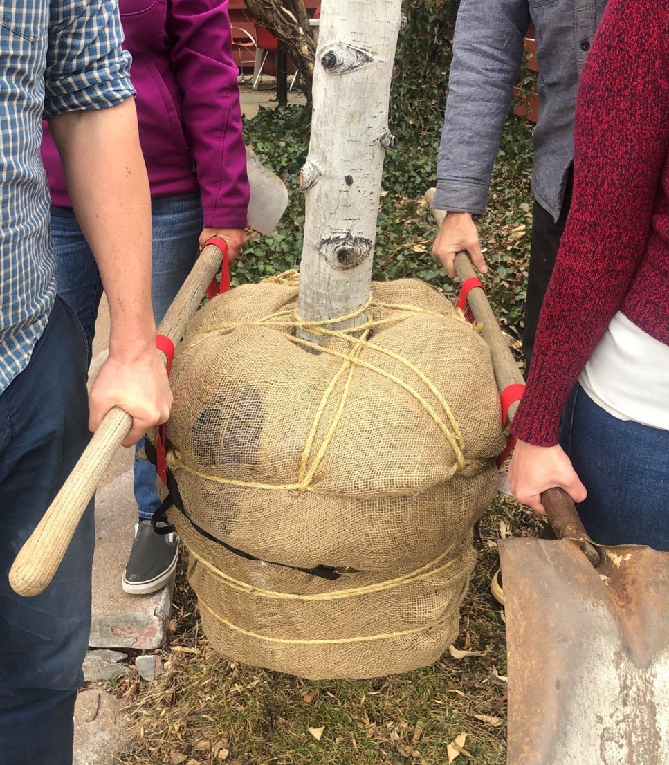 stěhovací popruhy zahrada GARDENDOLLY M3060 - Obrázek 4